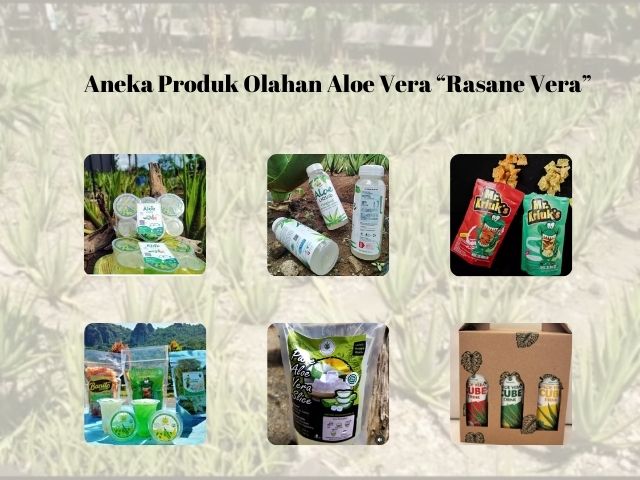 gaya hidup berkelanjutan produk rasane vera